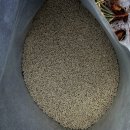 전원농약사 | [공지] 영주.봉화, 매해 2월말까지 산소.전원주택에 &#39;카소론,동장군&#39; 살포해 보세요/ 잡초없는 예쁜...