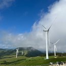 마전목장 이미지