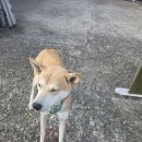 학산동물병원 이미지