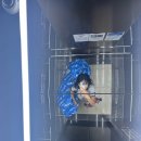 NR-6[경강로]-하-193 | 8월 : 신혼집 이사, 부산여행, 동해•강릉 여행, 집들이