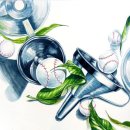 성광여자고등학교 이미지