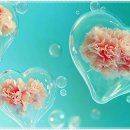 탑재활의학과의원 이미지