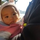 남해-216 이미지