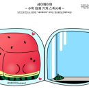 화채가게 이미지