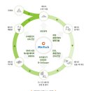 디앤디솔루션