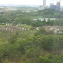 그린세무회계사무소 이미지