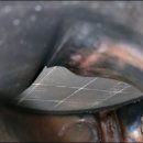 엘리트크리닝 이미지