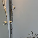 나빌레라 | 평택속눈썹펌 나빌레라 후기｜자연스러운 컬과 유지력 만족