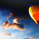 고미발톱 이미지