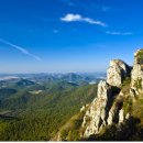 명신관광 이미지