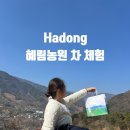 고산대추곶감농원 | [경남/하동] 사장님과 오붓하게: 혜림농원 차체험 내돈내산 후기