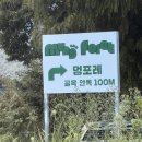 포레멍 | 담양) 강아지수영장이있는 애견운동장 _ 멍포레 후기