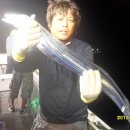 도깨비호프 이미지