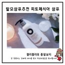 케어플러스메디칼(주) | 탈모샴푸추천 여자탈모샴푸 1위 피토페시아 플러스 탈모완화 케어