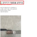 초읍동-24 이미지