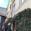 D00193 | W10-5. [드림리조트] 로마 바티칸 식당 Ristorante Arlù 리스토란테 아르뤼 후기