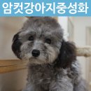 펫토이동물병원 이미지