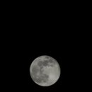 둥지치킨 이미지