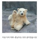 2017서울국제소싱페어 전시보고 왔어요