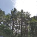 평창그린힐리조트 이미지