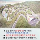 [인천] 무의도 자연휴양림 오후 산책