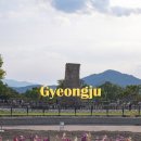 경주문화유산해설 | 경주여행 첨성대 작약 개화상황 5월 가볼만한곳 + 무료주차장 스탬프투어