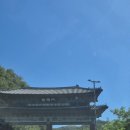 낙동강변26 | 2025 안동 수페스타 후기 7/26~8/3 9일간 물놀이 콘서트 불꽃놀이 총정리