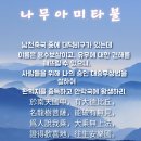 남천축국 대덕비구 용수보살 이미지