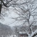 마곡사3 이미지