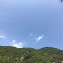 더 드림농원 네이버블로그