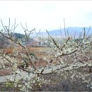 임천농장 이미지