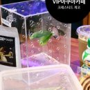 VIP아쿠아카페 이미지