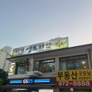 하계생오리 이미지