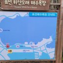 카페옜다