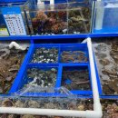 가락시장역 1번출구 이미지