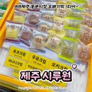 남상정미소떡공장 | 제주 동문시장 오메기떡집 '시루원' 제주도 오메기떡 택배 맛집 추천