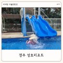 성호로 | 경주 아이랑 가볼만한 곳 성호리조트 야외수영장 가성비숙소 이용 후기