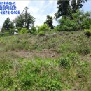 상예동-1 이미지