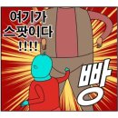 스테이보름