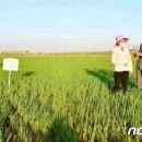 장교농장 이미지