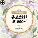 경기도의료원파주병원 | 경기도의료원 파주병원장례식장 근조화환 당일배송 가격표 및 친절가이드