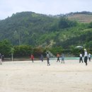 도산초등학교 이미지