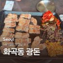 광돈 이미지