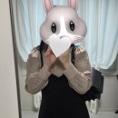 마르니 - 서구 둔산로31번길 38 | 마르니 트렁크백 사피아노 3년 사용 후기 30대 직장인 데일리백 하객룩 가방 추천