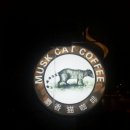 사양 고양이 커피 루왁 커피를 아셔요? Luwak coffee 이미지