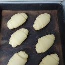 푸드르르 이미지