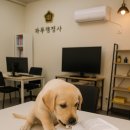 지은부동산공인중개사사무소 이미지