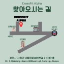 크로스핏 알파 이미지