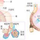 제천산소가스 이미지