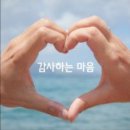 은정 친구 일십만원 찬조 이미지